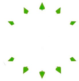 Good Fortune Spins